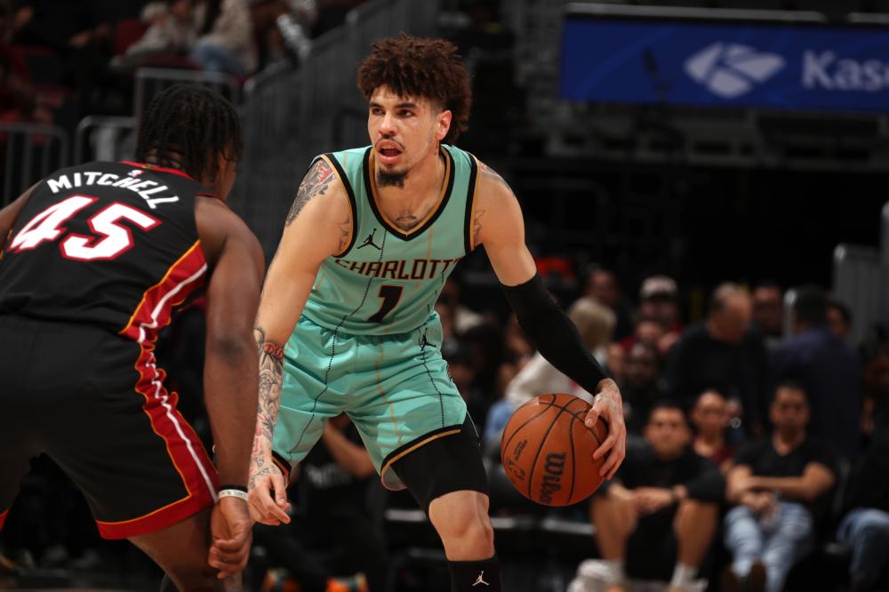 历史上的豪 历史上的豪